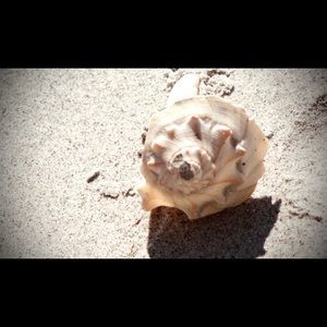 Bundle anything $8 and under get a big discount or Make Offers on Multiple Items